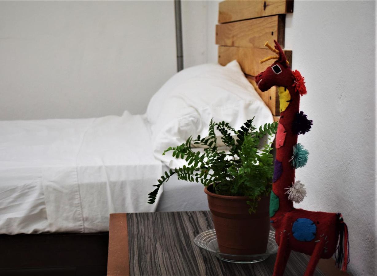 Hostal Casa Bohemia Мерида Екстериор снимка